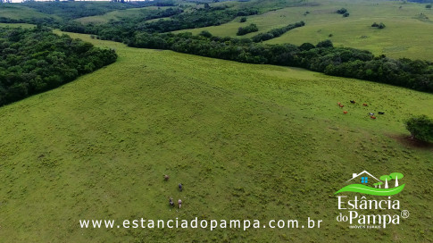 INICIO INICIO.00_04_29_01.Quadro050_d2c3f0fb6104bc780f5c52c3d5210e75ac310108.jpg